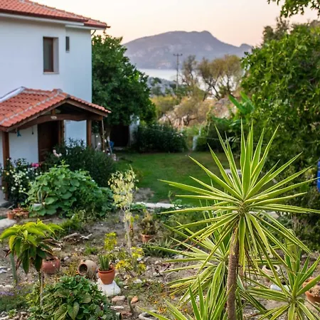 Villa Jasmin Selimiye -with Pool Daily Weekly Marmaris